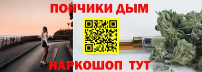 гидра Гатчина
