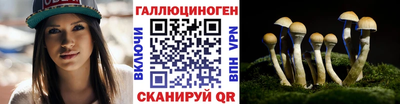 где купить   Ульяновск  Псилоцибиновые грибы ЛСД 