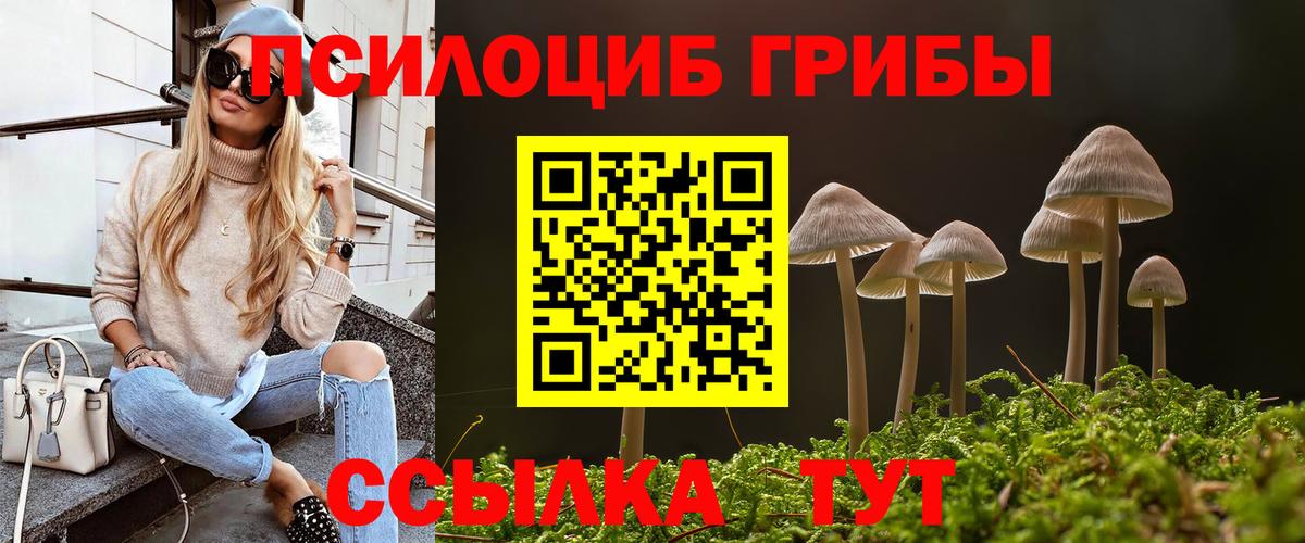 Ульяновск  купить наркотик  Галлюциногенные грибы GOLDEN TEACHER  Вход с VPN  Галлюциногенные грибы Magic Shrooms 